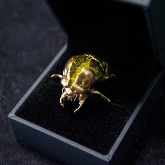Exuvia: A jewel-like sculpture made from a real cicada skin.